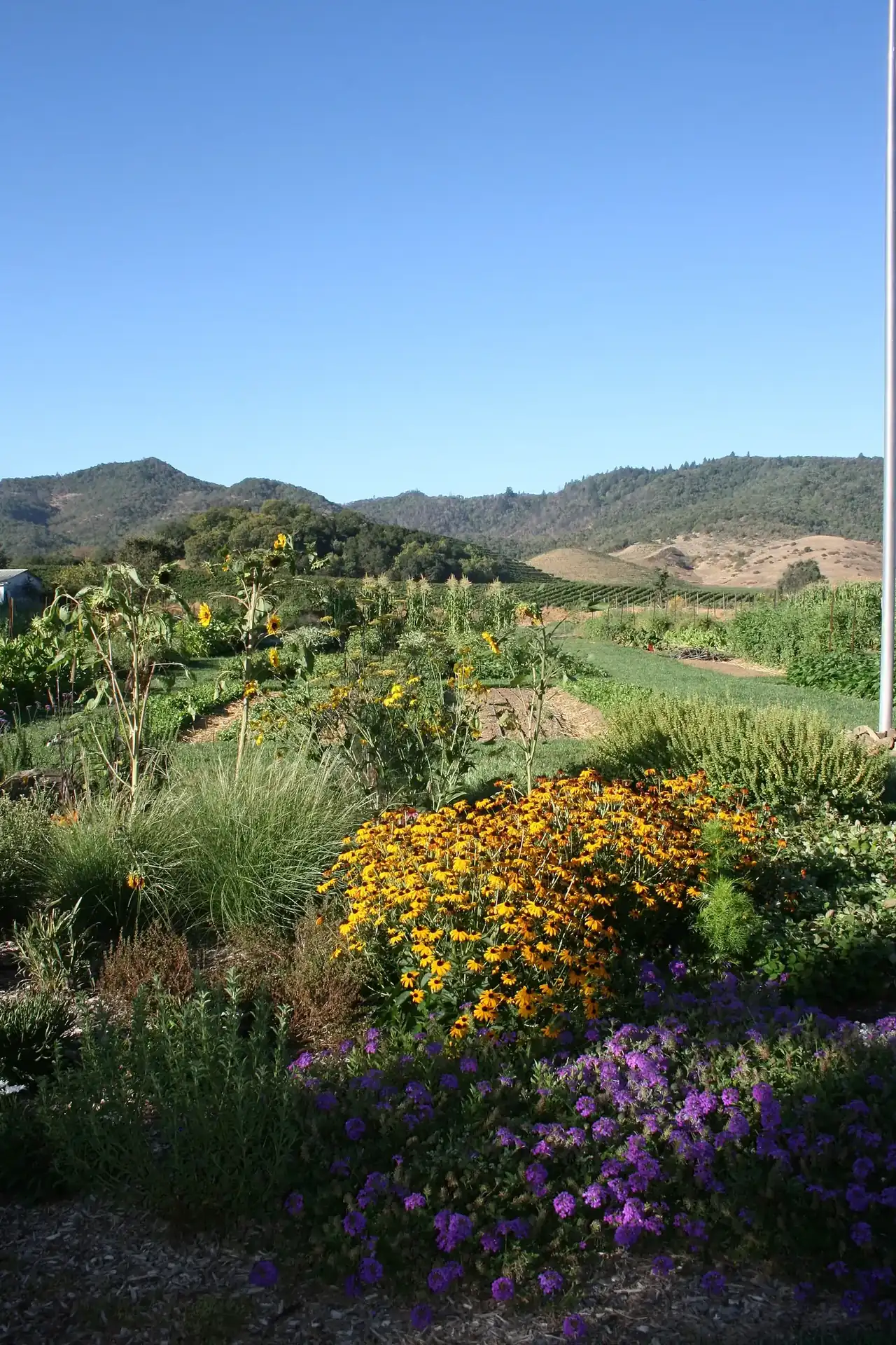 Flower Garden - The French Laundry (2827135984) — The French Laundry, Yountville